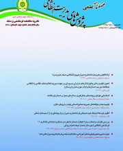 مطالعات مدیریت انتظامی (پژوهش های مدیریت انتظامی)