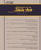 شهر پایدار