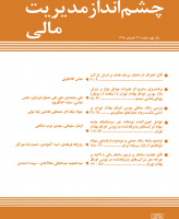 چشم انداز مدیریت مالی (و حسابداری)